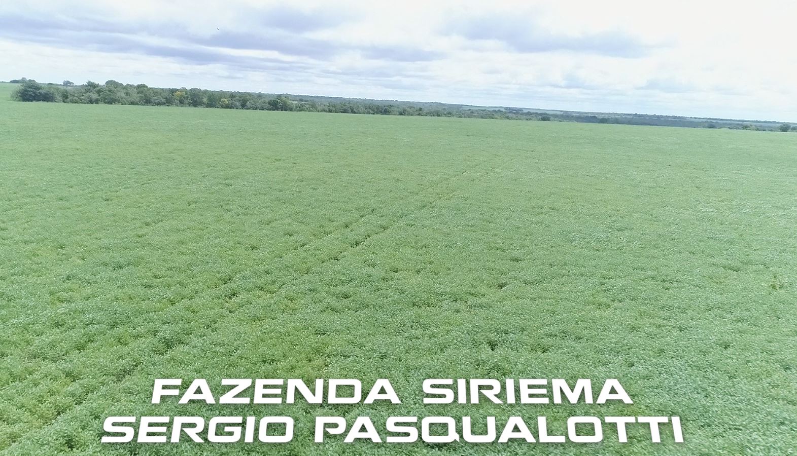 Fazenda Siriema